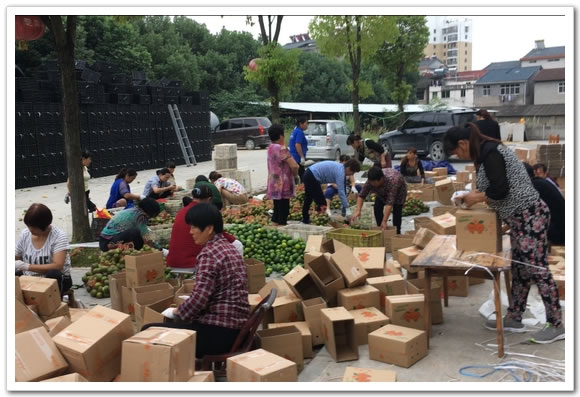 圖片關鍵詞 圖片關鍵詞