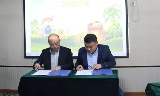 1522232323820075.jpg 11.jpg